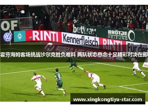 霍芬海姆客场挑战沙尔克胜负难料 两队状态悬念十足精彩对决在即