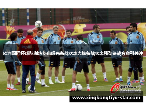 欧洲国际杯球队训练秘密曝光备战状态火热备战状态强劲备战方案引关注