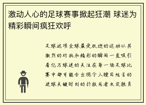 激动人心的足球赛事掀起狂潮 球迷为精彩瞬间疯狂欢呼