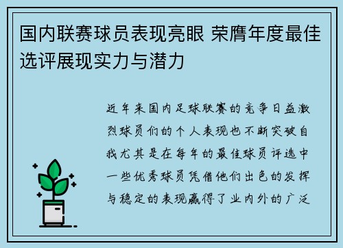 国内联赛球员表现亮眼 荣膺年度最佳选评展现实力与潜力