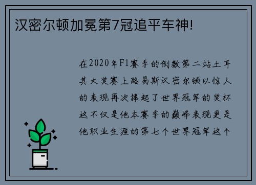 汉密尔顿加冕第7冠追平车神!