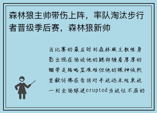 森林狼主帅带伤上阵，率队淘汰步行者晋级季后赛，森林狼新帅