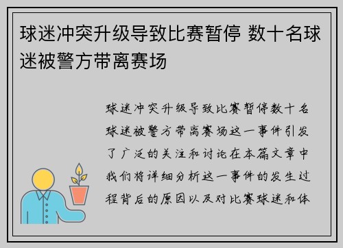 球迷冲突升级导致比赛暂停 数十名球迷被警方带离赛场
