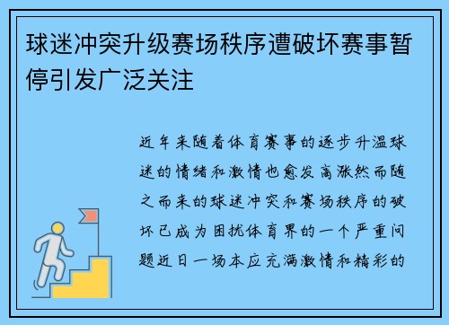 球迷冲突升级赛场秩序遭破坏赛事暂停引发广泛关注